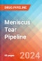 Meniscus Tear - Pipeline Insight, 2024 - Product Thumbnail Image
