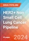 HER2+ Non Small Cell Lung Cancer - Pipeline Insight, 2024 - Product Image