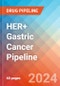 HER+ Gastric Cancer - Pipeline Insight, 2024 - Product Thumbnail Image