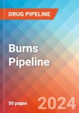 Burns - Pipeline Insight, 2024- Product Image