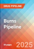 Burns - Pipeline Insight, 2024- Product Image