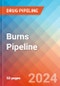 Burns - Pipeline Insight, 2024 - Product Thumbnail Image