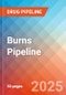 Burns - Pipeline Insight, 2024 - Product Thumbnail Image