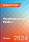 Pheochromocytoma - Pipeline Insight, 2024 - Product Thumbnail Image