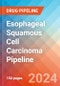 Esophageal Squamous Cell Carcinoma - Pipeline Insight, 2024 - Product Image