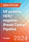 ER positive, HER2 negative Breast Cancer - Pipeline Insight, 2024 - Product Thumbnail Image