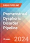 Premenstrual Dysphoric Disorder - Pipeline Insight, 2024 - Product Thumbnail Image