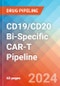 CD19/CD20 Bi-Specific CAR-T - Pipeline Insight, 2024 - Product Thumbnail Image
