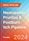 Neuropathic Pruritus & Postburn Itch - Pipeline Insight, 2024 - Product Thumbnail Image