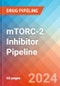 mTORC-2 Inhibitor - Pipeline Insight, 2024 - Product Image