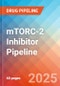 mTORC-2 Inhibitor - Pipeline Insight, 2024 - Product Image