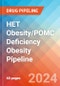 HET Obesity/POMC Deficiency Obesity - Pipeline Insight, 2024 - Product Thumbnail Image