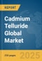 Cadmium Telluride Global Market Report 2025 - Product Thumbnail Image