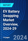 EV Battery Swapping Market Overview, 2024-29- Product Image