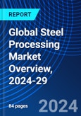 Global Steel Processing Market Overview, 2024-29- Product Image