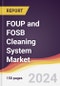 FOUP and FOSB Cleaning System Market Report: Trends, Forecast and Competitive Analysis to 2030 - Product Thumbnail Image