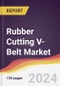 Rubber Cutting V-Belt Market Report: Trends, Forecast and Competitive Analysis to 2030 - Product Image