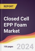 Closed Cell EPP Foam Market Report: Trends, Forecast and Competitive Analysis to 2030- Product Image