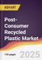 Post-Consumer Recycled Plastic Market Report: Trends, Forecast and Competitive Analysis to 2030 - Product Thumbnail Image