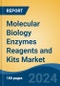 Molecular Biology Enzymes Reagents and Kits Market - Global Industry Size, Share, Trends, Opportunity and Forecast, 2019-2029F - Product Thumbnail Image