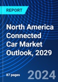 North America Connected Car Market Outlook, 2029- Product Image