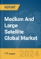 Medium and Large Satellite Global Market Report 2024 - Product Thumbnail Image