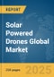 Solar Powered Drones Global Market Report 2025 - Product Thumbnail Image
