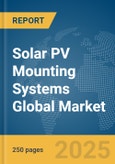 Solar PV Mounting Systems Global Market Report 2025- Product Image