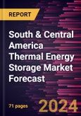 South & Central America Thermal Energy Storage Market Forecast to 2030 - Regional Analysis - by Technology, Storage Material, Application, and End User- Product Image