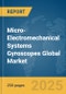 Micro-Electromechanical Systems (MEMS) Gyroscopes Global Market Report 2025 - Product Image