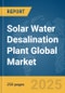 Solar Water Desalination Plant Global Market Report 2025 - Product Image