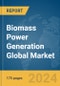 Biomass Power Generation Global Market Report 2024 - Product Thumbnail Image