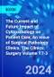 The Current and Future Impact of Cytopathology on Patient Care, An Issue of Surgical Pathology Clinics. The Clinics: Surgery Volume 17-3 - Product Thumbnail Image