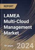 LAMEA Multi-Cloud Management Market Size, Share & Trends Analysis Report By Enterprise Size, By Service Type, By Deployment Model, By Application, By Vertical, By Country and Growth Forecast, 2024 - 2031- Product Image