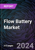 Flow Battery Market Based on by Type (Hybrid, Redox), by Application (Utility, Automotive, Residential, Industrial, Energy Storage, Others), Regional Outlook - Global Forecast Up to 2030- Product Image