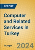Computer and Related Services in Turkey- Product Image