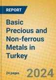 Basic Precious and Non-ferrous Metals in Turkey- Product Image