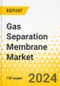 Gas Separation Membrane Market - A Global and Regional Analysis: Focus on Application, Material Type, and Module - Analysis and Forecast, 2024-2034 - Product Image
