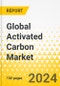 Global Activated Carbon Market: Focus on Application, End-Use Industry, Activated Carbon Type, Raw Material, and Region - Analysis and Forecast, 2024-2034 - Product Thumbnail Image
