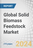 Global Solid Biomass Feedstock Market by Source (Agriculture, Forest, Municipal), Type (Chips, Pellets, Briquettes), Application (Electricity, Heat, Biofuel), End User (Residential & Commercial, Industrial, Utilities) & Region - Forecast to 2029- Product Image