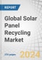 Global Solar Panel Recycling Market by Type (Monocrystalline, Polycrystalline, Thin Film), Process (Thermal, Chemical, Mechanical, Laser, Combination), Shelf Life (Early Loss, Normal Loss), Material (Metal, Glass, Plastic, Silicone) - Forecast to 2029 - Product Image