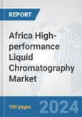 Africa High-performance Liquid Chromatography (HPLC) Market: Prospects, Trends Analysis, Market Size and Forecasts up to 2031- Product Image