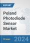 Poland Photodiode Sensor Market: Prospects, Trends Analysis, Market Size and Forecasts up to 2032 - Product Thumbnail Image