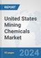 United States Mining Chemicals Market: Prospects, Trends Analysis, Market Size and Forecasts up to 2032 - Product Thumbnail Image