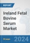 Ireland Fetal Bovine Serum Market: Prospects, Trends Analysis, Market Size and Forecasts up to 2032 - Product Thumbnail Image