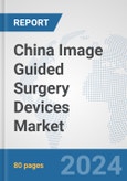 China Image Guided Surgery Devices Market: Prospects, Trends Analysis, Market Size and Forecasts up to 2032- Product Image
