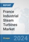 France Industrial Steam Turbines Market: Prospects, Trends Analysis, Market Size and Forecasts up to 2032 - Product Thumbnail Image