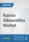 Russia Gibberellins Market: Prospects, Trends Analysis, Market Size and Forecasts up to 2032 - Product Image