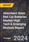 2024 Global Forecast for Absorbent Glass Mat (Agm) Car Batteries Market (2025-2030 Outlook)-High Tech & Emerging Markets Report - Product Thumbnail Image