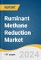 Ruminant Methane Reduction Market Size, Share & Trends Analysis Report By Product (Feed Additives/ Supplements (Plant-based, Chemical-based, Microbial-based)), By Animal Type (Cattle, Sheep, Goats), By Region, And Segment Forecasts, 2024 - 2030 - Product Image